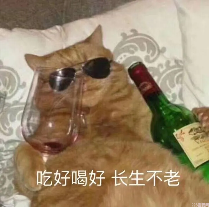 木伦河雪糕怎么样（14款网红爆款雪糕推荐）(22)