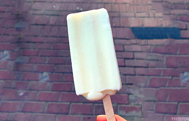 雪糕和冰淇淋到底有什么区别（解析雪糕和冰淇淋哪个更好吃）(7)
